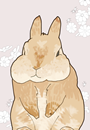 ぶんまる